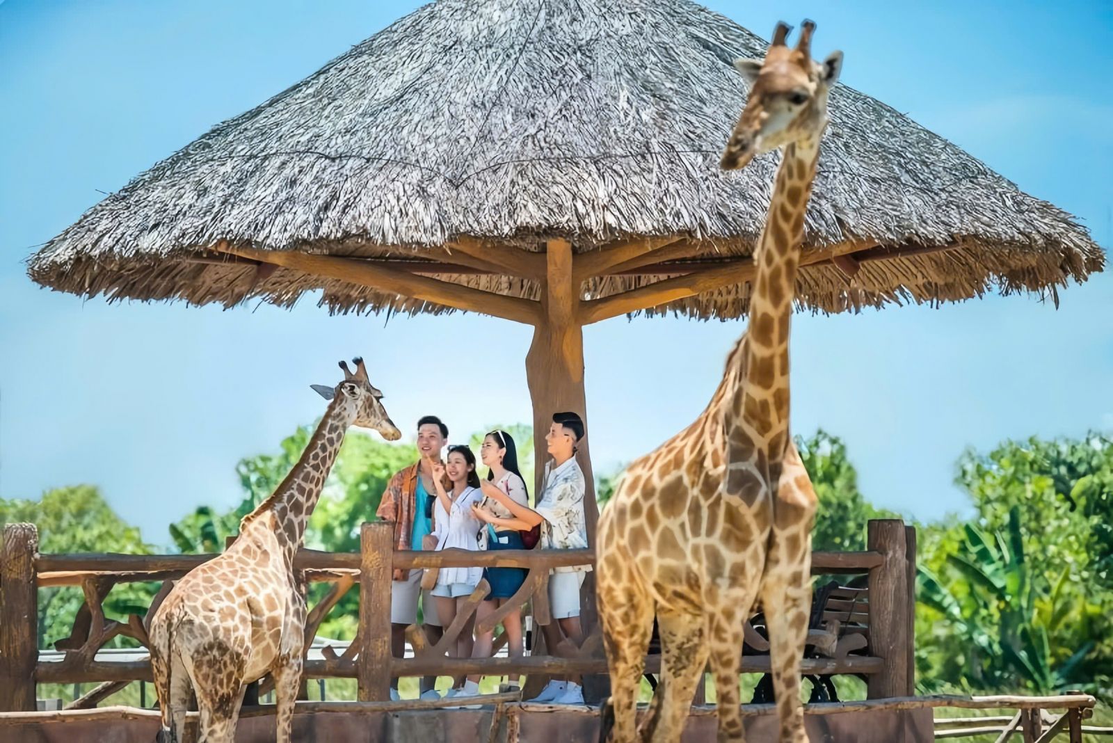 River Safari tại VinWonders Nam Hội An thu hút đông đảo du khách