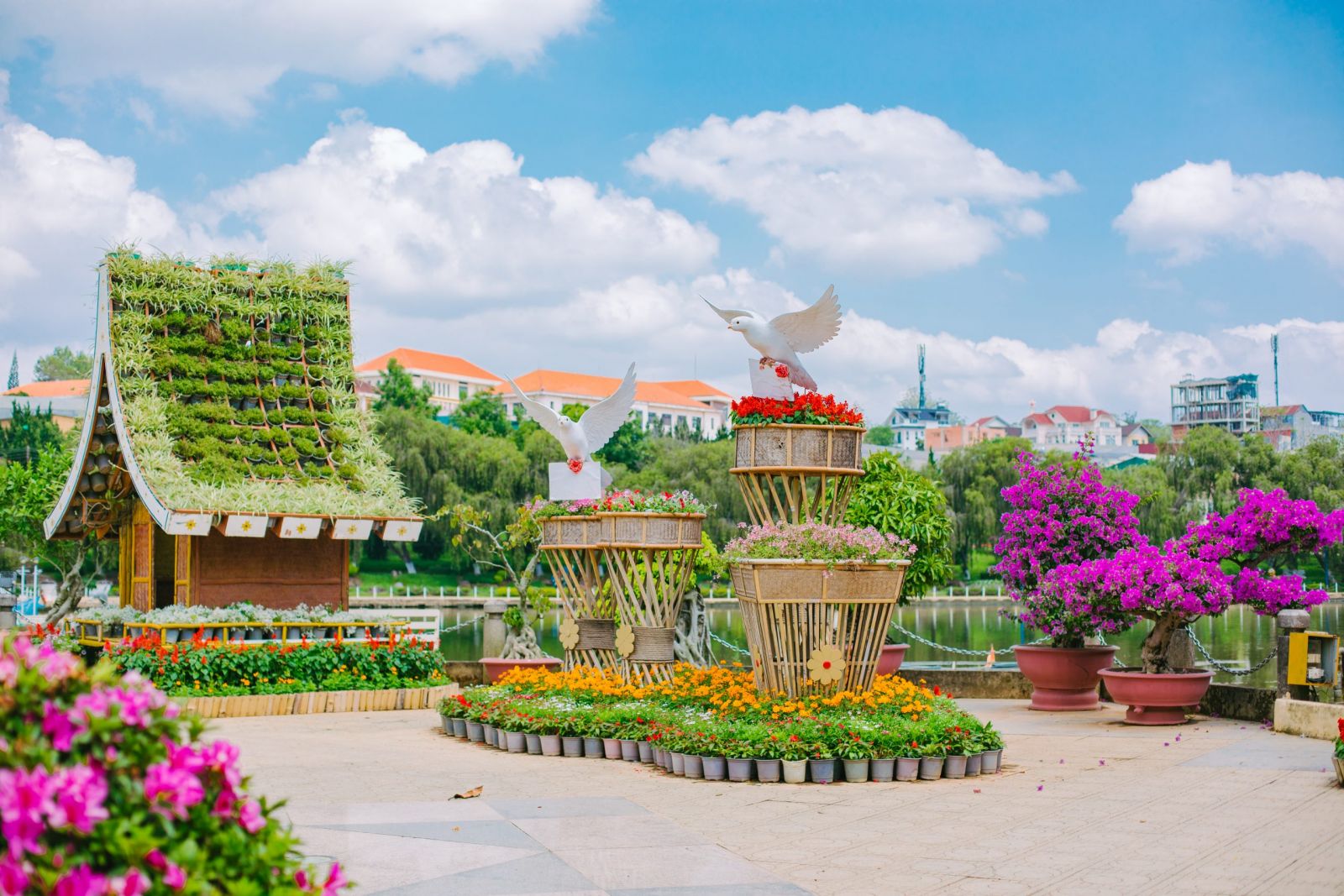 Carnival và biểu diễn đường phố