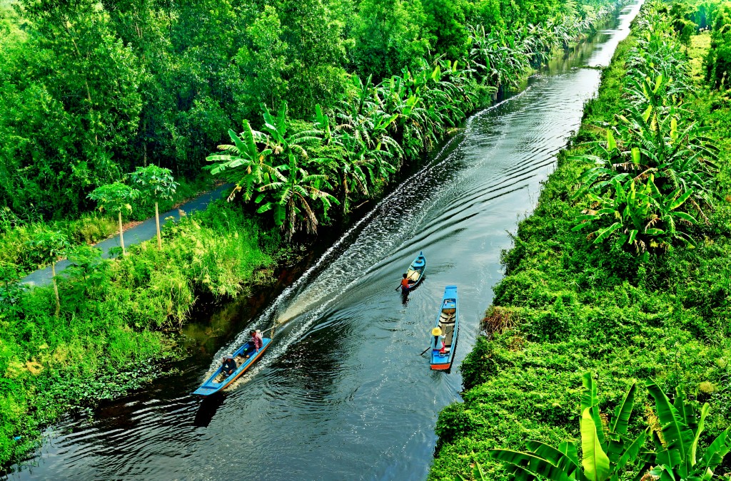 cà mau miền tây