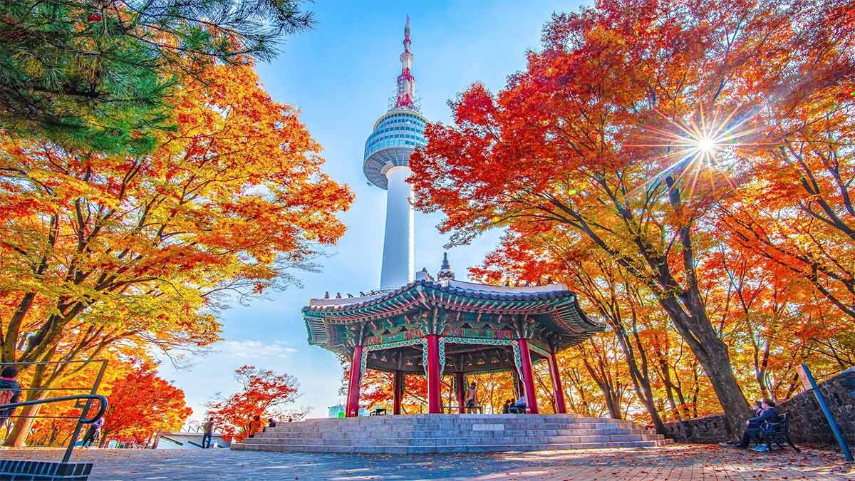 hàn quốc tự túc hay đi theo tour