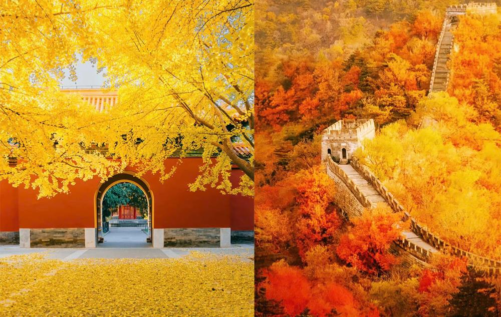 Văn hóa truyền thống Trung Hoa nét thu hút du khách