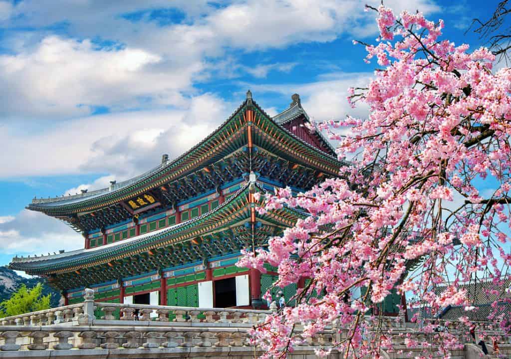 hàn quốc tự túc hay đi theo tour