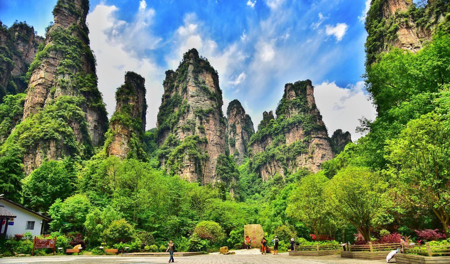 Trương Gia Giới