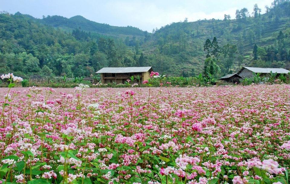 Thung lũng Sủng Là Hà Giang