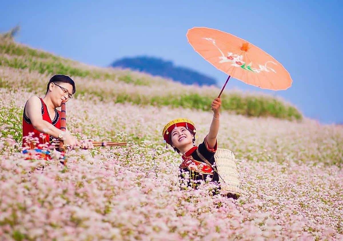 Sắc hoa tam giác mạch Hà Giang