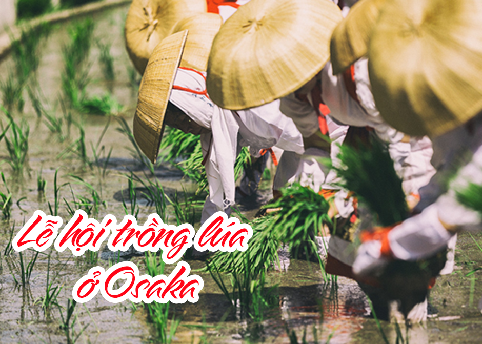 lễ hội thần mặt trời ở peru 