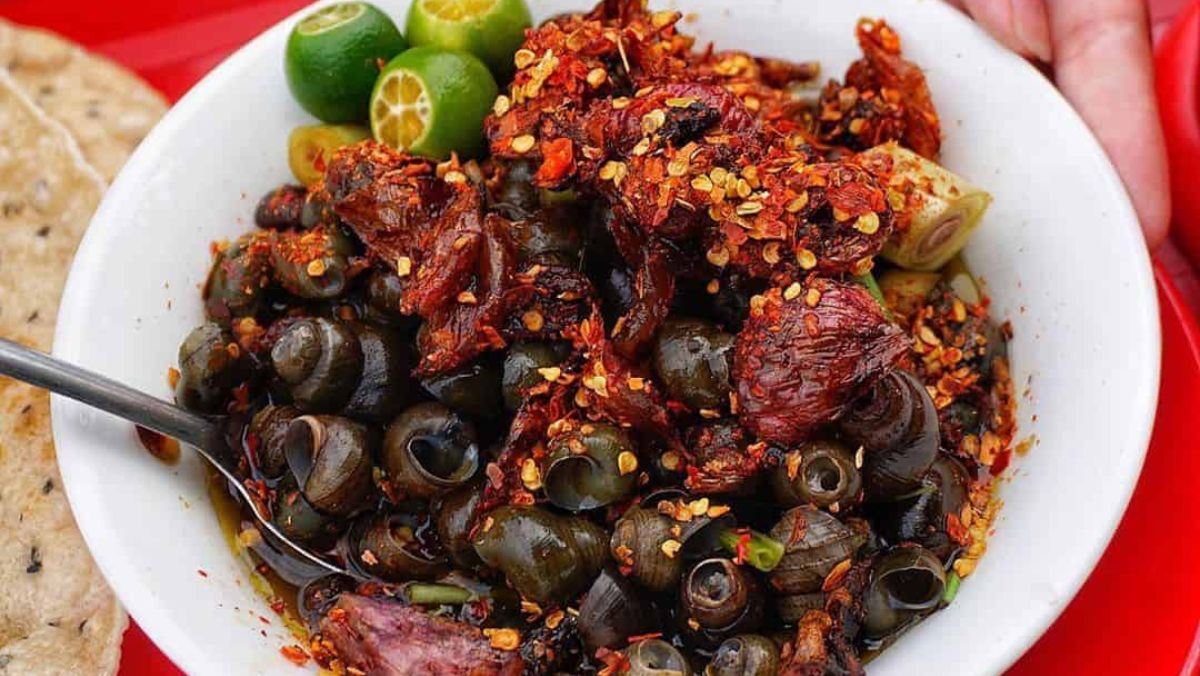 ốc hút Điện Phương