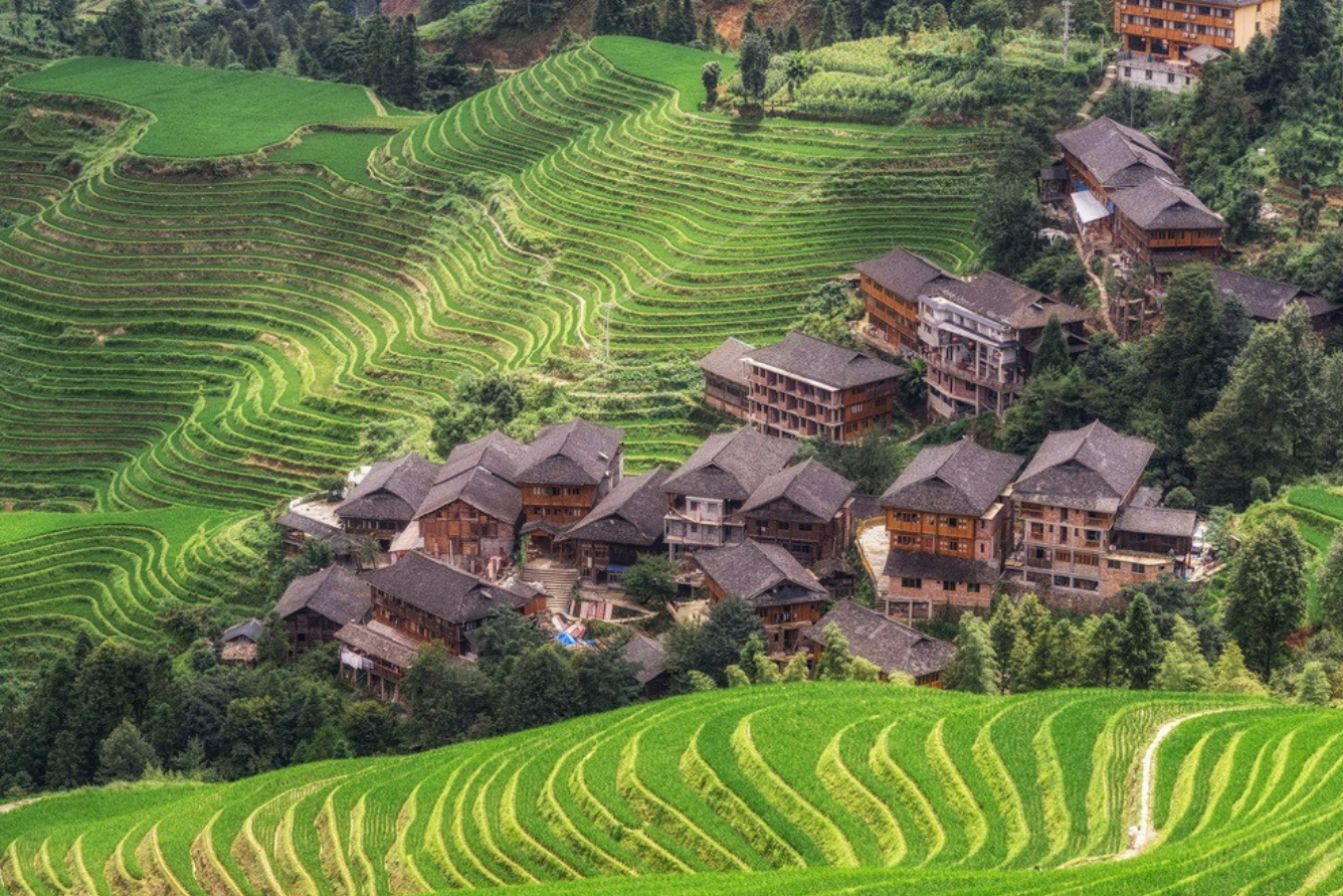 Ruộng Bậc Thang Long Tích
