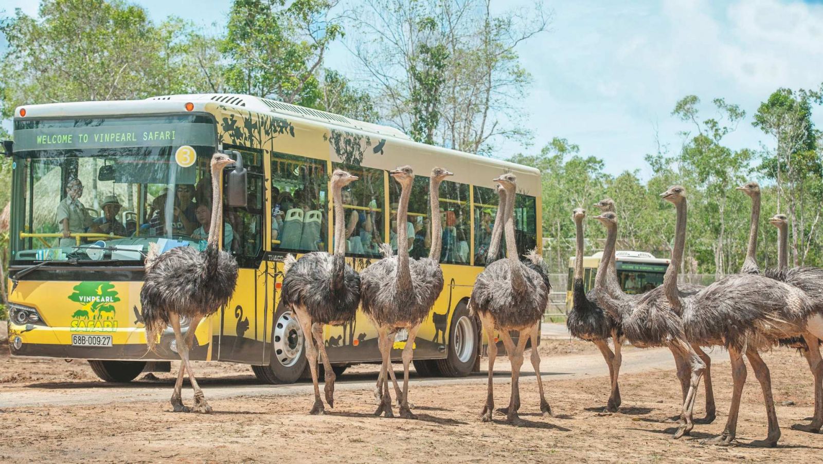 Vinpearl Safari Phú Quốc